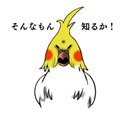 Creatures such as the cockatiel sticker #9564582