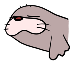 Good luck!! Sea Lion. sticker #9567167