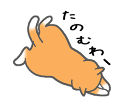 A very fat cat Dalumy sticker #9567640