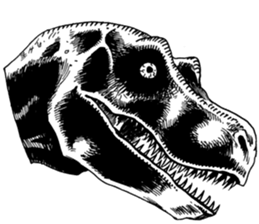 Black & White T-REX sticker #9568953