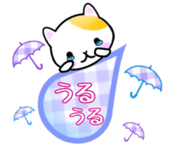 cute cat3. sticker #9569176