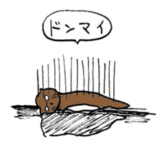 Human-Faced Penguin and his friends sticker #9570046