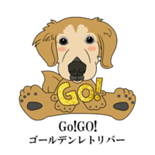 Go!Go!Golden Retriever 3 ! sticker #9571424