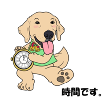 Go!Go!Golden Retriever 3 ! sticker #9571426