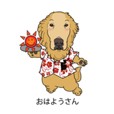 Go!Go!Golden Retriever 3 ! sticker #9571432