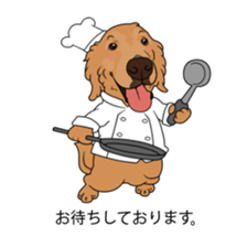 Go!Go!Golden Retriever 3 ! sticker #9571436