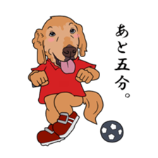 Go!Go!Golden Retriever 3 ! sticker #9571449