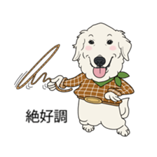 Go!Go!Golden Retriever 3 ! sticker #9571450