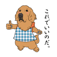 Go!Go!Golden Retriever 3 ! sticker #9571452