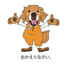 Go!Go!Golden Retriever 3 ! sticker #9571453