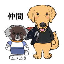 Go!Go!Golden Retriever 3 ! sticker #9571456