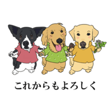 Go!Go!Golden Retriever 3 ! sticker #9571458