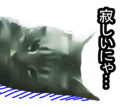 white & gray crazy cats sticker #9571800