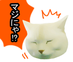 white & gray crazy cats sticker #9571813