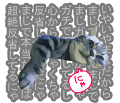 white & gray crazy cats sticker #9571815