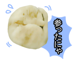 white & gray crazy cats sticker #9571819