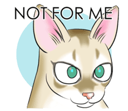 LOVE YOUR SINGAPURA! STICKER 4 CAT LOVER sticker #9572146