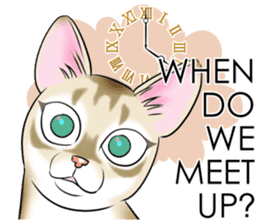 LOVE YOUR SINGAPURA! STICKER 4 CAT LOVER sticker #9572148