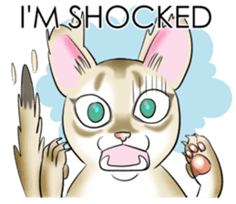 LOVE YOUR SINGAPURA! STICKER 4 CAT LOVER sticker #9572150