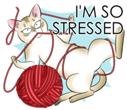 LOVE YOUR SINGAPURA! STICKER 4 CAT LOVER sticker #9572151