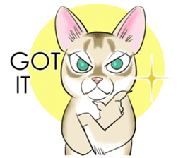 LOVE YOUR SINGAPURA! STICKER 4 CAT LOVER sticker #9572152