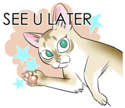 LOVE YOUR SINGAPURA! STICKER 4 CAT LOVER sticker #9572153