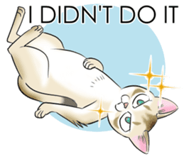 LOVE YOUR SINGAPURA! STICKER 4 CAT LOVER sticker #9572154