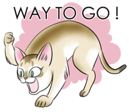 LOVE YOUR SINGAPURA! STICKER 4 CAT LOVER sticker #9572155