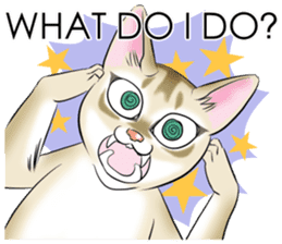 LOVE YOUR SINGAPURA! STICKER 4 CAT LOVER sticker #9572157