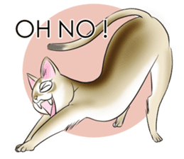 LOVE YOUR SINGAPURA! STICKER 4 CAT LOVER sticker #9572158