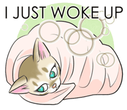 LOVE YOUR SINGAPURA! STICKER 4 CAT LOVER sticker #9572160