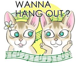 LOVE YOUR SINGAPURA! STICKER 4 CAT LOVER sticker #9572161