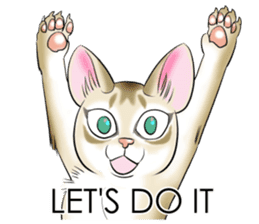 LOVE YOUR SINGAPURA! STICKER 4 CAT LOVER sticker #9572162