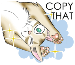 LOVE YOUR SINGAPURA! STICKER 4 CAT LOVER sticker #9572163