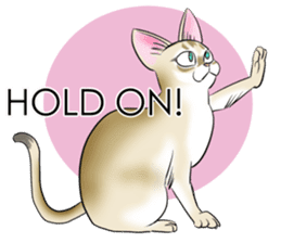 LOVE YOUR SINGAPURA! STICKER 4 CAT LOVER sticker #9572164