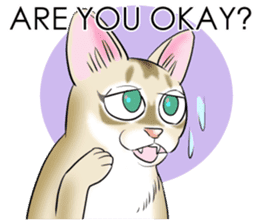 LOVE YOUR SINGAPURA! STICKER 4 CAT LOVER sticker #9572165