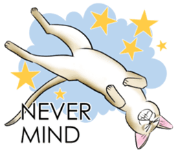 LOVE YOUR SINGAPURA! STICKER 4 CAT LOVER sticker #9572168