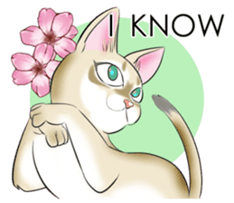 LOVE YOUR SINGAPURA! STICKER 4 CAT LOVER sticker #9572169