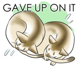 LOVE YOUR SINGAPURA! STICKER 4 CAT LOVER sticker #9572170