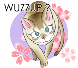 LOVE YOUR SINGAPURA! STICKER 4 CAT LOVER sticker #9572171