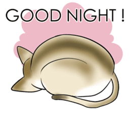 LOVE YOUR SINGAPURA! STICKER 4 CAT LOVER sticker #9572172