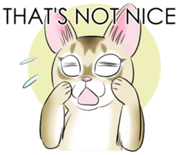 LOVE YOUR SINGAPURA! STICKER 4 CAT LOVER sticker #9572174