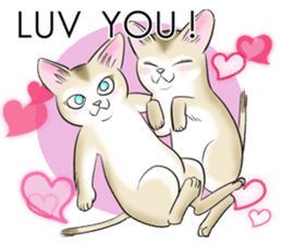 LOVE YOUR SINGAPURA! STICKER 4 CAT LOVER sticker #9572176