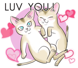 LOVE YOUR SINGAPURA! STICKER 4 CAT LOVER sticker #9572176