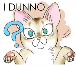 LOVE YOUR SINGAPURA! STICKER 4 CAT LOVER sticker #9572177