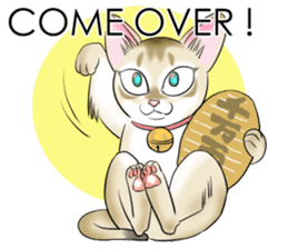 LOVE YOUR SINGAPURA! STICKER 4 CAT LOVER sticker #9572178