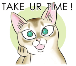 LOVE YOUR SINGAPURA! STICKER 4 CAT LOVER sticker #9572181