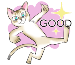 LOVE YOUR SINGAPURA! STICKER 4 CAT LOVER sticker #9572182