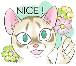 LOVE YOUR SINGAPURA! STICKER 4 CAT LOVER sticker #9572183