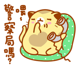 Niu Niu Cat 3 sticker #9572730